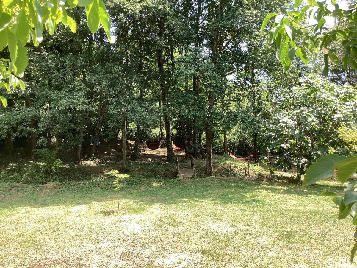 Piccola Ospitalita Bed & Breakfast Campagna Bagian luar foto